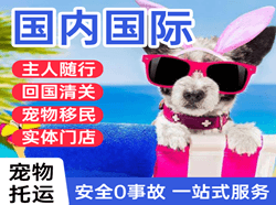 西宁曹家堡机场货运国际宠物托运 【国